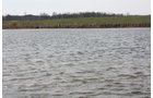 Property photo 10 - 194.67 Acres Offered in 2 Tracts
